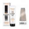 CHANTAL COLOR ART Farba do włosów 1000,1 - 100ml