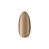 BOSKA NAILS Lakier hybrydowy Coffee Please 391 - 6ml