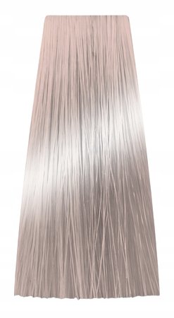 Chantal ART COLOR Prosalon Farba 100ml 10,12