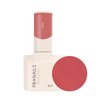 PB NAILS Lakier hybrydowy DIVA - 8ml