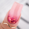 PB NAILS Żel do zdobień Princess Gel PR07 - 5g