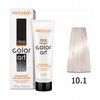 CHANTAL COLOR ART Farba do włosów 10,1 - 100ml