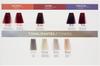 LENDAN Toner do włosów BOND COLOR Plex Forte 0/10 Popielaty - 30ml