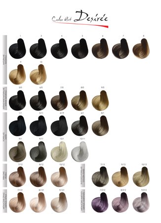 STAPIZ Color Art Desiree Farba do włosów 10,04 Miedziany Superblond - 100ml