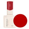 PB NAILS Lakier hybrydowy XOXO - 8ml