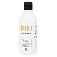 STAPIZ Maska do włosów farbowanych LUMI pH 3,5 - 240ml
