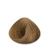 STAPIZ Color Art Desiree Farba do włosów 8,0 Intensywny Jasny Blond - 100ml
