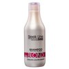 STAPIZ Zestaw do włosów blond BLUSH BLOND - 300ml + 250ml