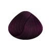 STAPIZ Color Art Desiree Farba do włosów 8,22 Intensywny Lawendowy Jasny Blond - 100ml