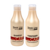 STAPIZ Zestaw do codziennej pielęgnacji włosów TOTAL CARE 2x300ml