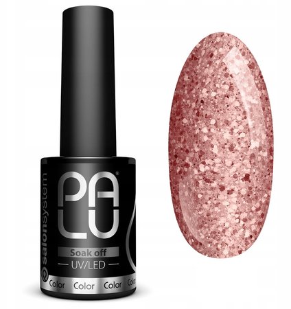 PALU Lakier hybrydowy RIO DE JANEIRO RI6  11g