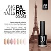 PALU Lakier hybrydowy Paris N4 - 11g
