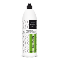 CHANTAL COLOR ART Szampon do włosów KERATIN - 1000 ml