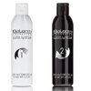 SALERM Dekoloryzator do włosów Color Reverse - 2x200ml