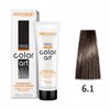 CHANTAL COLOR ART Farba do włosów 6,1 - 100ml
