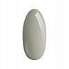 PALU Lakier hybrydowy London G6 - 11g