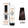 CHANTAL COLOR ART Farba do włosów 3,G4 - 100ml
