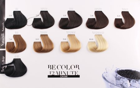 Be Color Farba BEZ AMONIAKU 12 minutowa 4,2 100ml