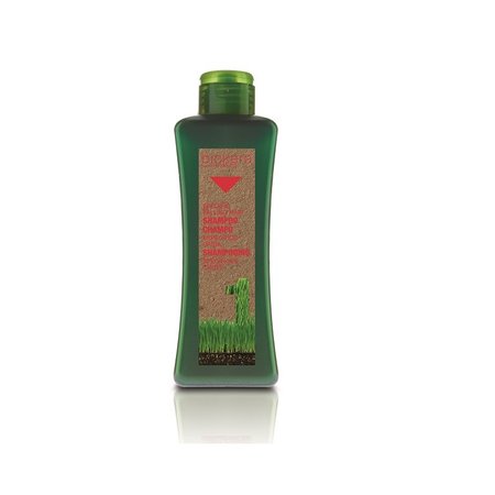BIOKERA Zestaw Przeciw wypadaniu włosów 2x300ml + 6x10ml