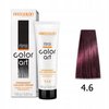 CHANTAL COLOR ART Farba do włosów 4,6 - 100ml