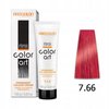 CHANTAL COLOR ART Farba do włosów 7,66 - 100ml