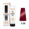 CHANTAL COLOR ART Farba do włosów 5,66 - 100ml
