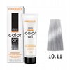 CHANTAL COLOR ART Farba do włosów 10,11 - 100ml