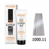 CHANTAL COLOR ART Farba do włosów 1000,11 - 100ml
