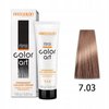CHANTAL COLOR ART Farba do włosów 7,03 - 100ml