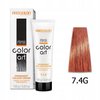 CHANTAL COLOR ART Farba do włosów 7,4G - 100ml