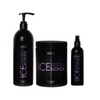 PROFIS Zestaw do włosów blond ICE - 2x1000ml + 250ml