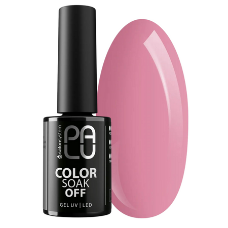 PALU Lakier hybrydowy SANTIAGO SA6 - 11g