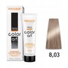 CHANTAL COLOR ART Farba do włosów 8,03 - 100ml