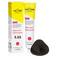 ALFAPARF YELLOW Farba do włosów 5.53 - Jasny mahoniowy złoty brąz - 100ml