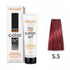 CHANTAL COLOR ART Farba do włosów 5,5 - 100ml