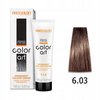 CHANTAL COLOR ART Farba do włosów 6,03 - 100ml