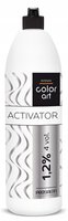 CHANTAL COLOR ART Woda Utleniona Oxydant 1,2% - 900ml