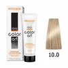 CHANTAL COLOR ART Farba do włosów 10,0 - 100ml