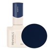 PB NAILS Lakier hybrydowy NORTH - 8ml