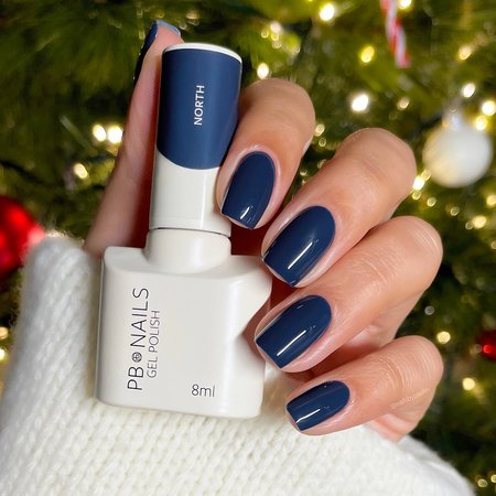 PB NAILS Lakier hybrydowy NORTH - 8ml