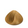 STAPIZ Color Art Desiree Farba do włosów 9,3 Złocisty Bardzo Jasny Blond - 100ml
