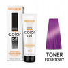 CHANTAL COLOR ART Toner do włosów FIOLETOWY - 100ml