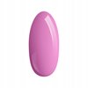 PALU Lakier hybrydowy Warsaw P14 - 11g