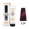 CHANTAL COLOR ART Farba do włosów 5,24 - 100ml