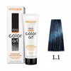 CHANTAL COLOR ART Farba do włosów 1,1 - 100ml