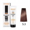 CHANTAL COLOR ART Farba do włosów 5,3 - 100ml