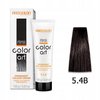 CHANTAL COLOR ART Farba do włosów 5,4B - 100ml