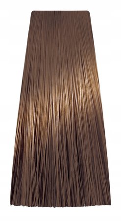 Chantal ART COLOR Prosalon Farba 100ml 8,13