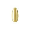 BOSKA NAILS Żel do zdobień paznokci Picassini Paint Gel GOLDINIO - 5ml