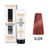CHANTAL COLOR ART Farba do włosów 6,G4 - 100ml